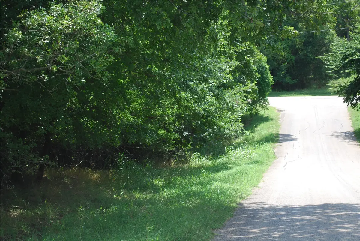 15013 Golf Drive, Whitney, TX 76692 - #1