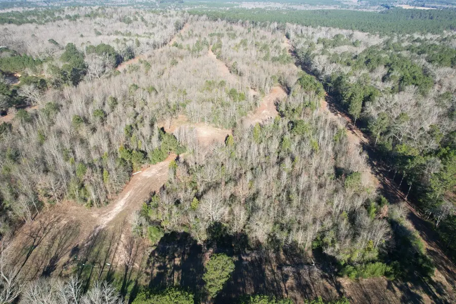 TBD County Road 4919, Timpson, TX 75975 - #2