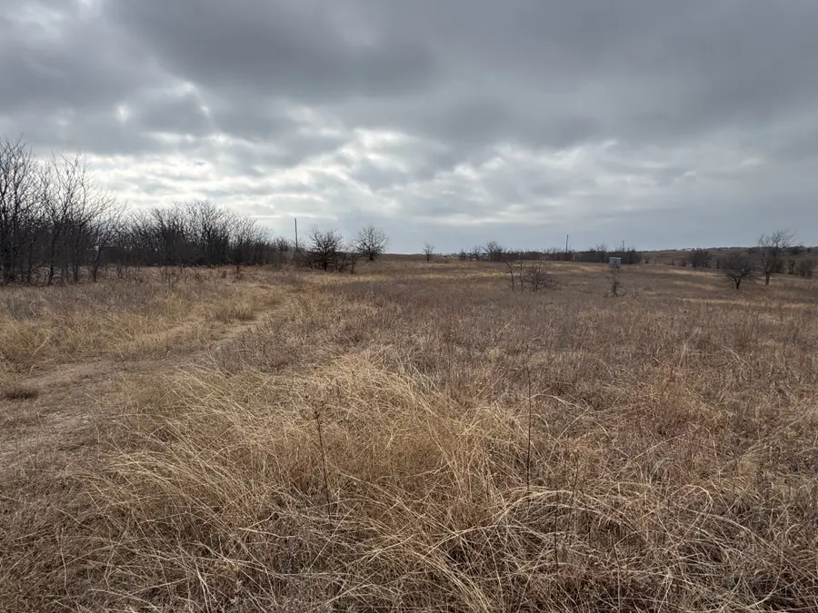 1121 County Road 4522, Decatur, TX 76234 - Image #3