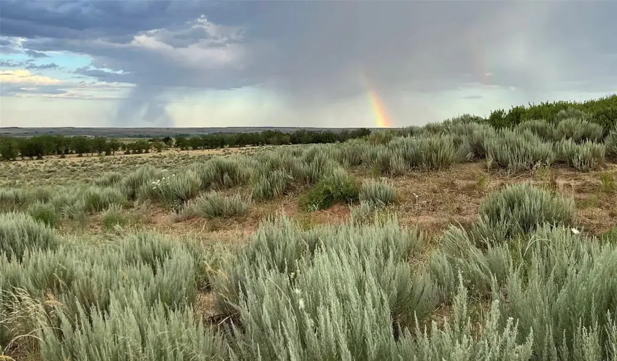 0 W Wheeler, Wheeler, TX 79061 - #1