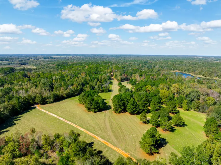 9444 Fm 314, Ben Wheeler, TX 75754 - #2