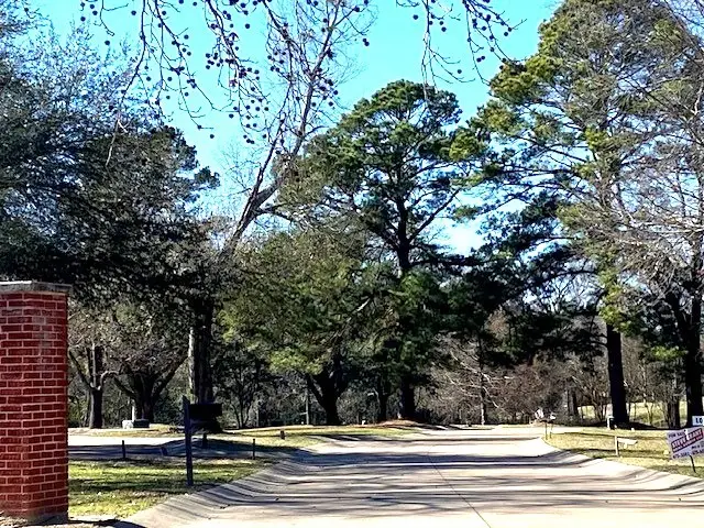 Lot 8 Belmont Drive, Athens, TX 75751 - #2