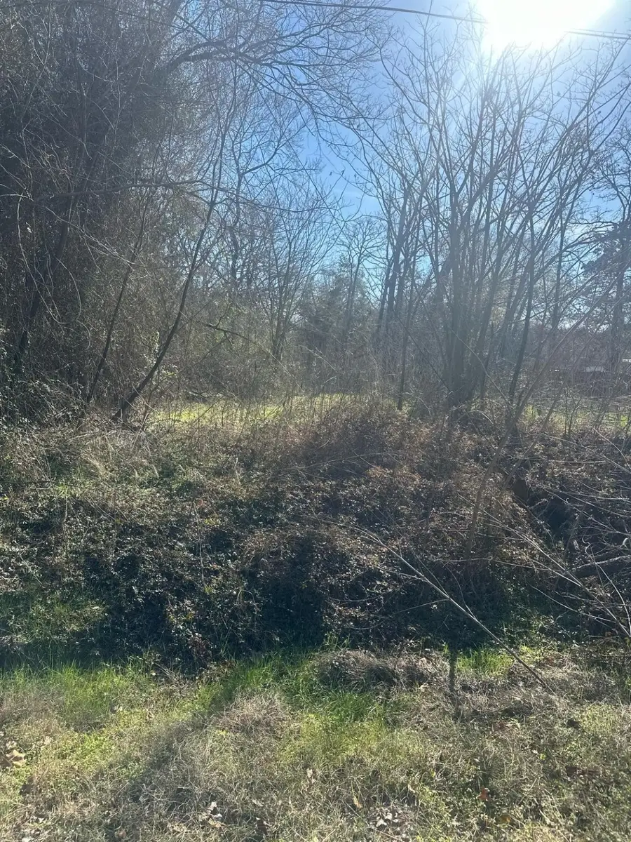 6147 Indian Harbor Drive, Mabank, TX 75156 - #3