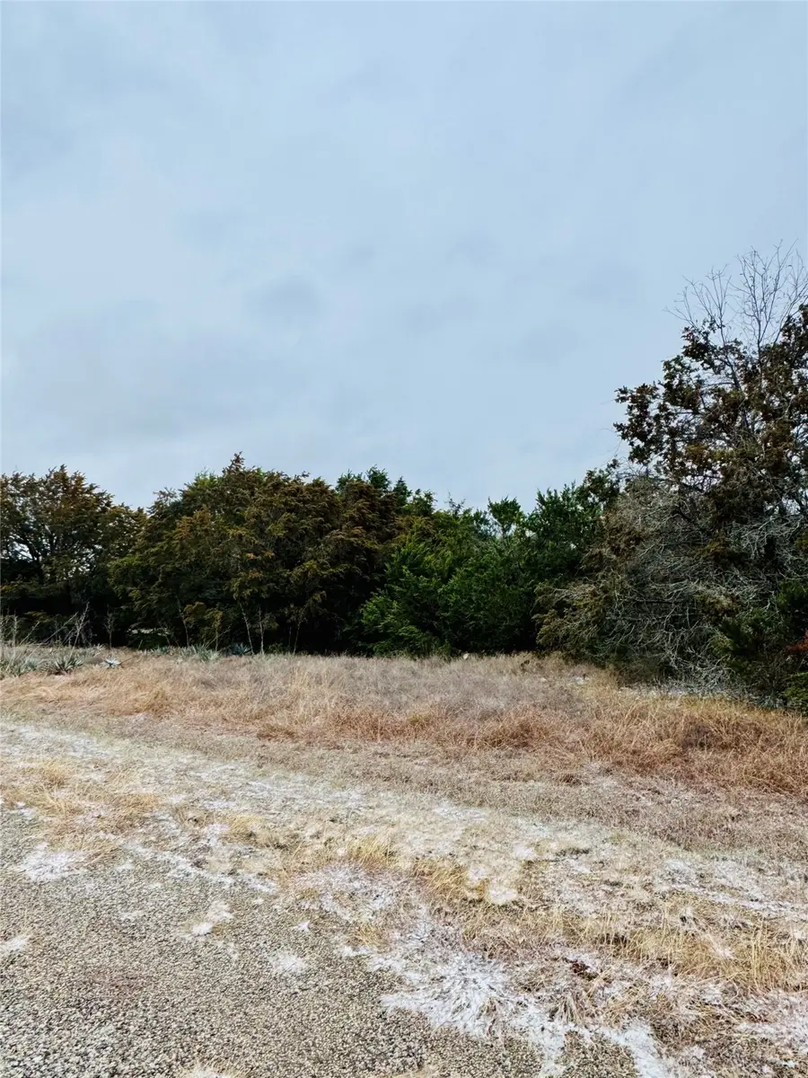 11101 Juniper Drive, Whitney, TX 76692 - Image #2