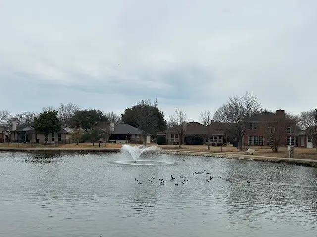 8016 Stern Street, Frisco, TX 75035 - #3