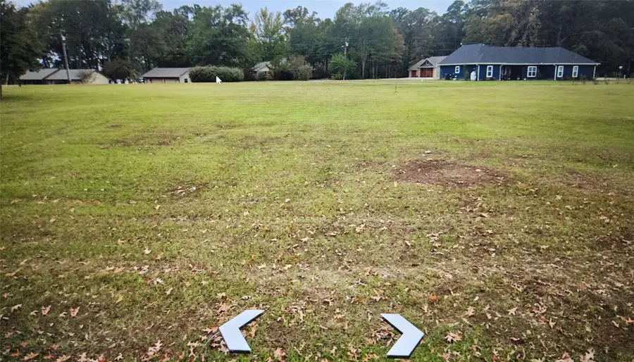 LOT 50 Hopes Landing, Pittsburg, TX 75455 - #3