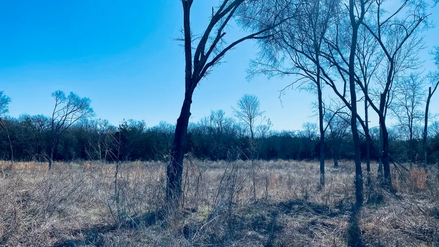 Lot 9 Se County Road 3140, Corsicana, TX 75109 - #2