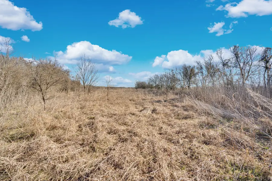 TBD White Rock Road, Italy, TX 76651 - Image #2