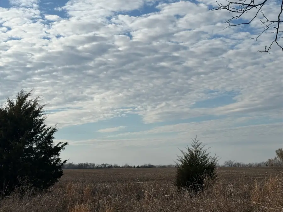 TBD Cr 1220, Deport, TX 75435 - #3