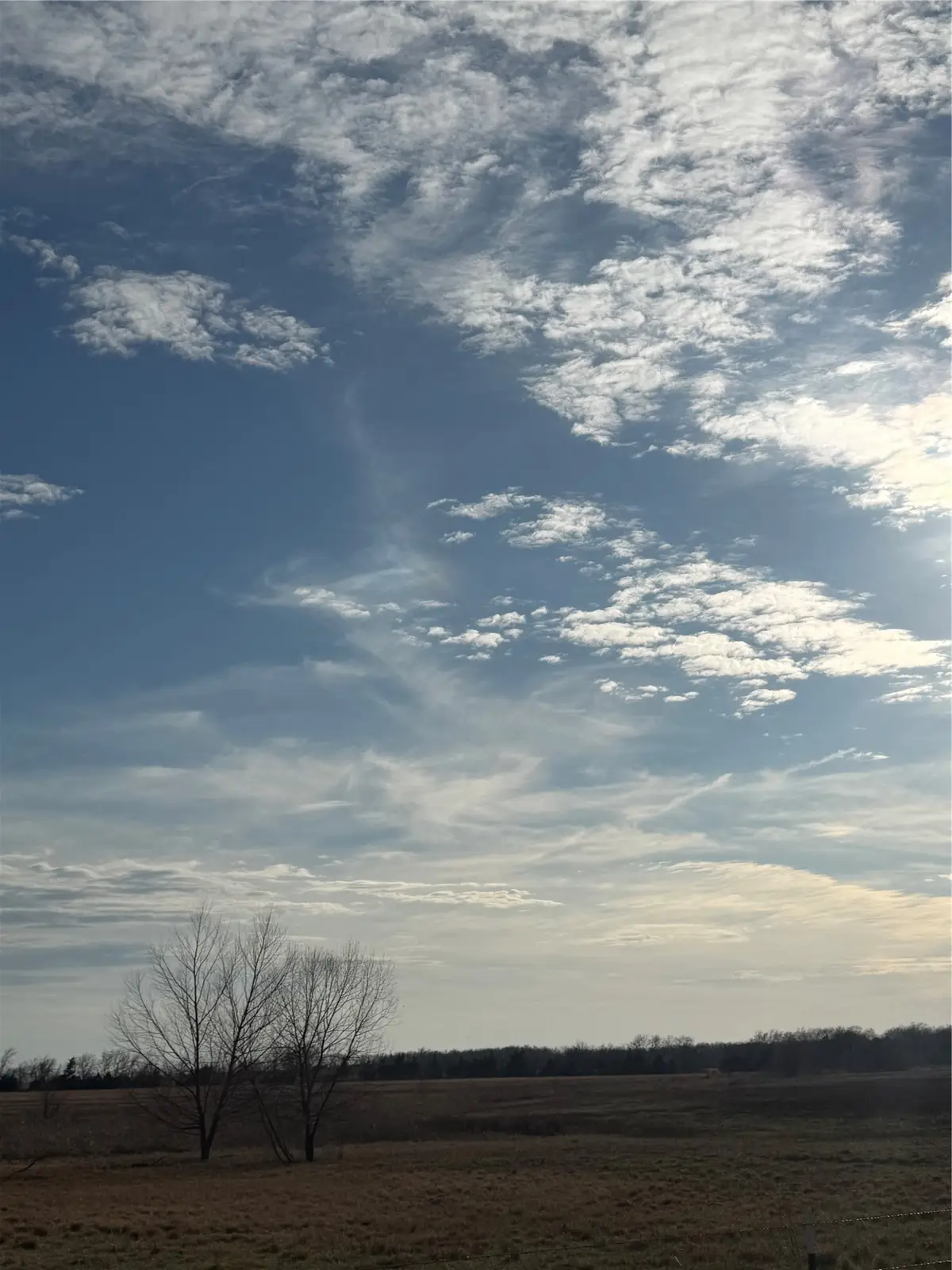 TBD County Road 1220, Deport, TX 75435 - #1