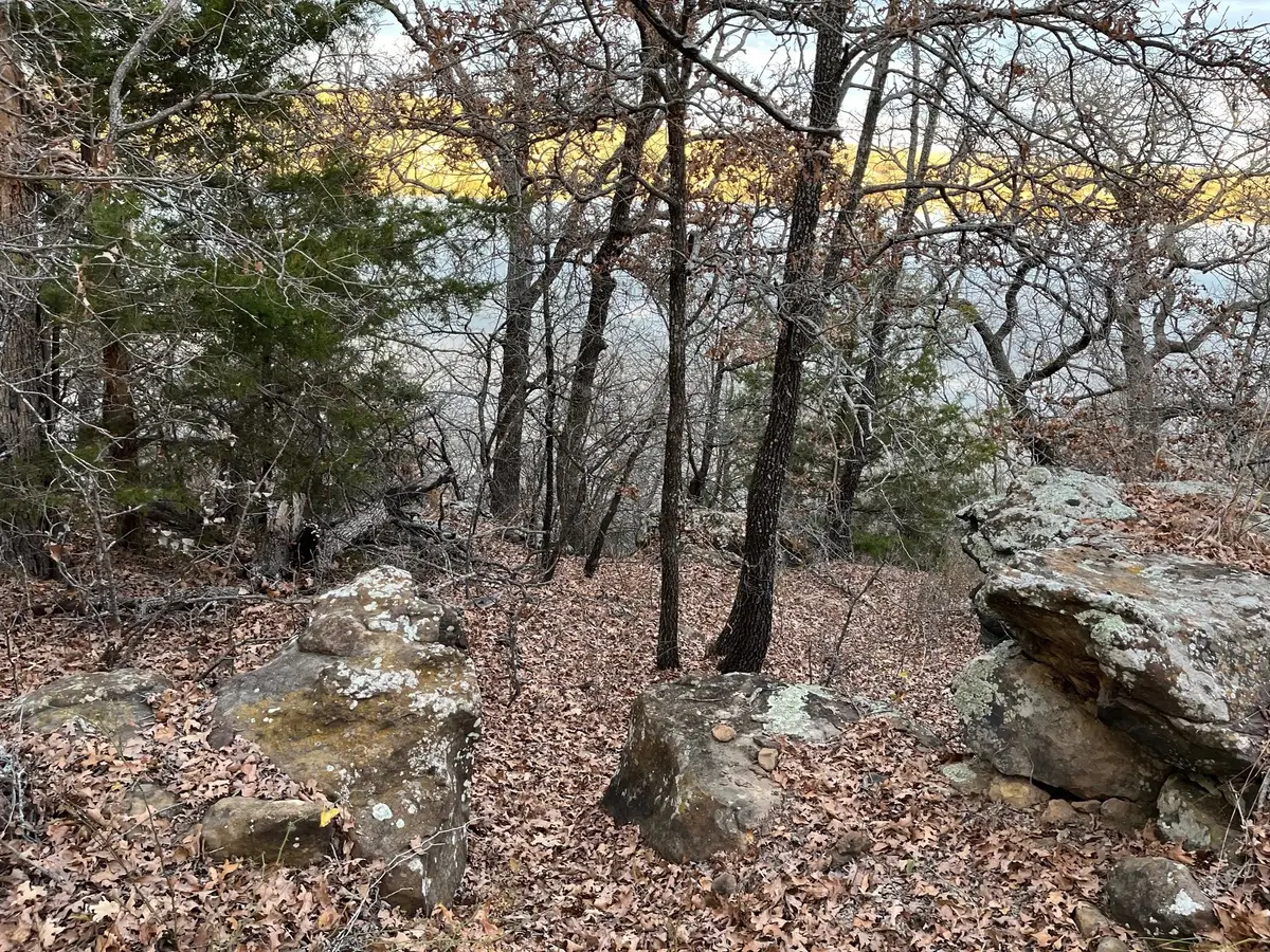 0 Scenic Hill Drive, Bowie, TX 76230 - Image #1