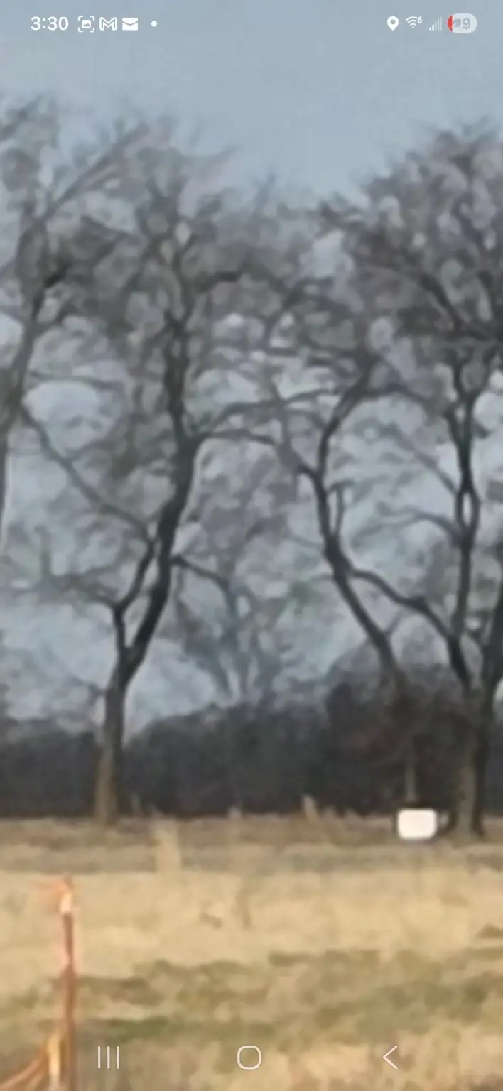 lot 8 County Road 3512, North Hopkins Sulphur Bluff, TX 75482 - #3