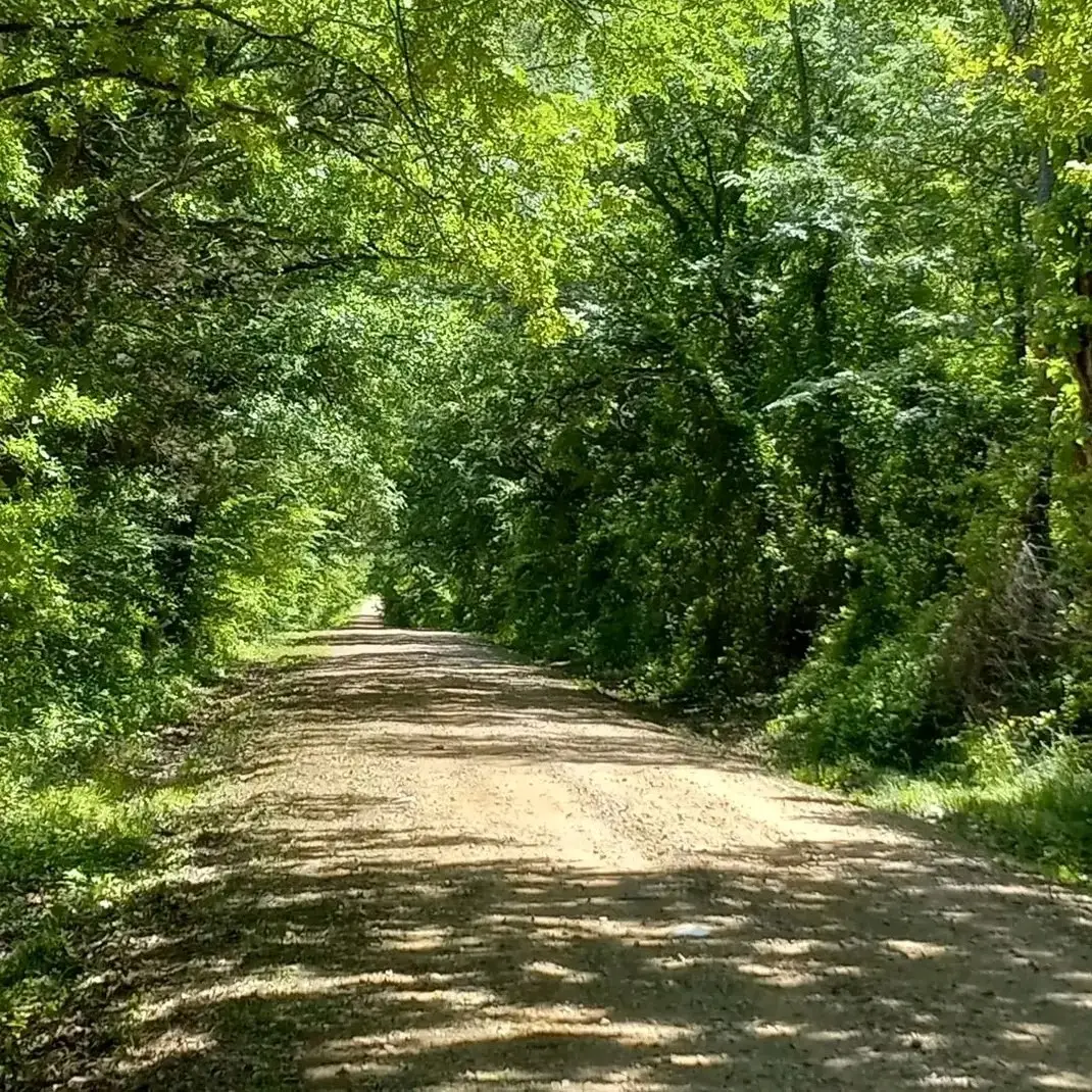 32 Acres County Road 2425, Como, TX 75431 - #1