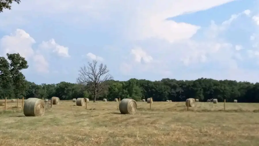 32 Acres County Road 2425, Como, TX 75431 - #2