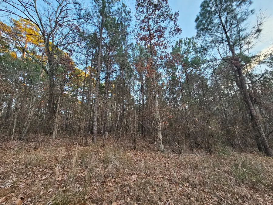 9557 Fm-726 S, Gilmer, TX 75645 - #3