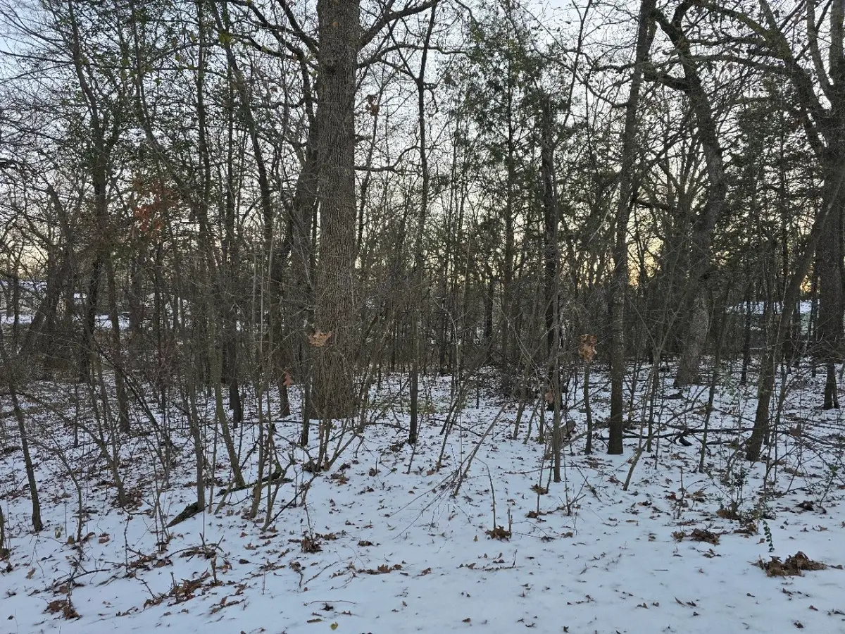 750-754 Doe Run Road, Gun Barrel City, TX 75156 - #1