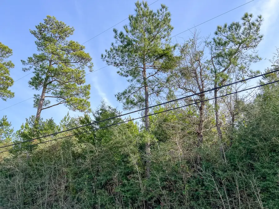 0 Fresenius Rd, Silsbee, TX 77656 - Image #2