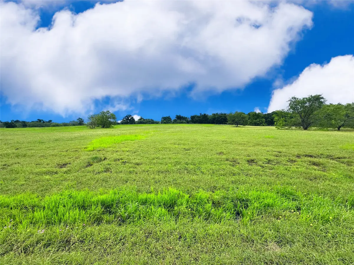 Lot 134 Lake Vista Drive, Streetman, TX 75859 - #1