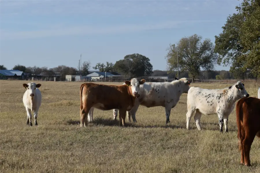 318 Fm 2488, Covington, TX 76636 - #3