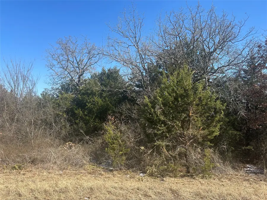 00 Land Of Goshen Road, Springtown, TX 76082 - Image #2
