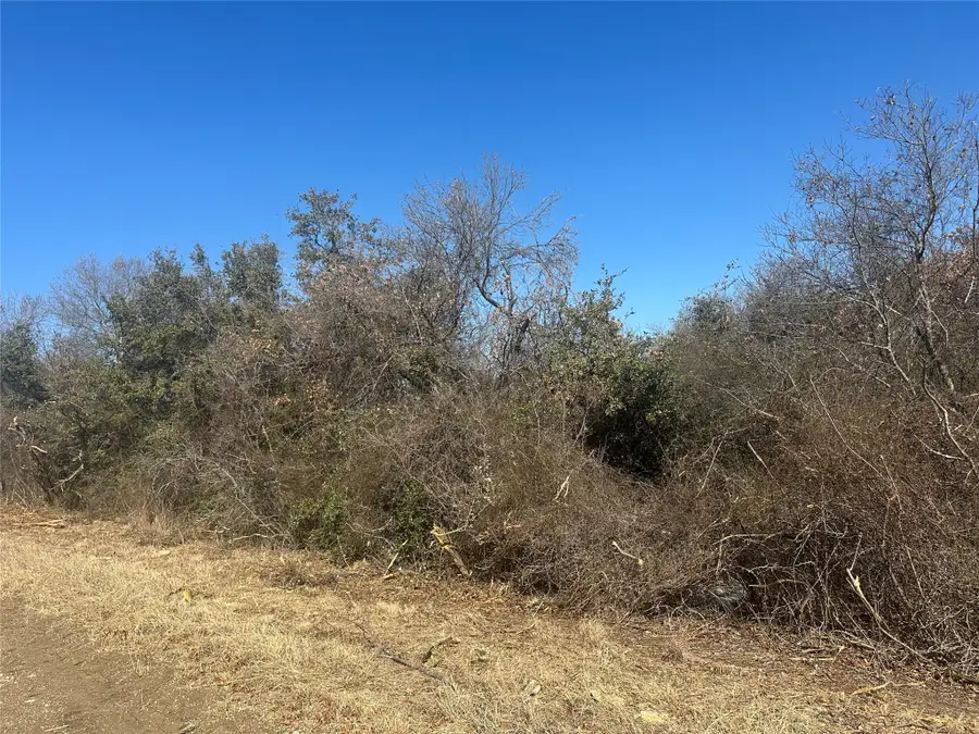 00 Land Of Goshen Road, Springtown, TX 76082 - Image #3