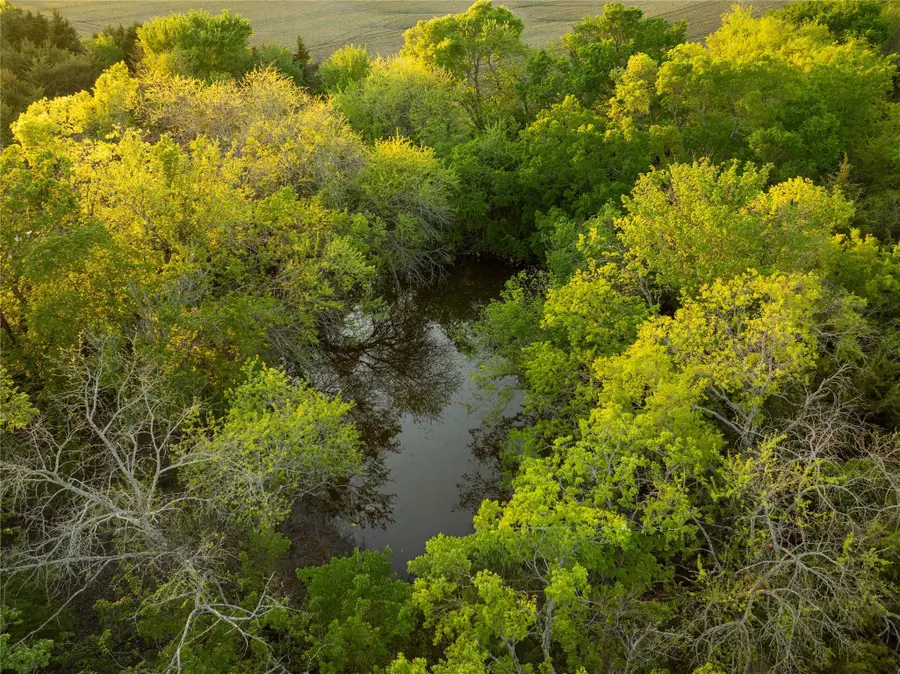 934 Everheart Road N, Bells, TX 75414 - Image #3