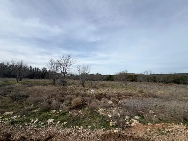 1063 Clearwater Point, Possum Kingdom Lake, TX 76450 - #1