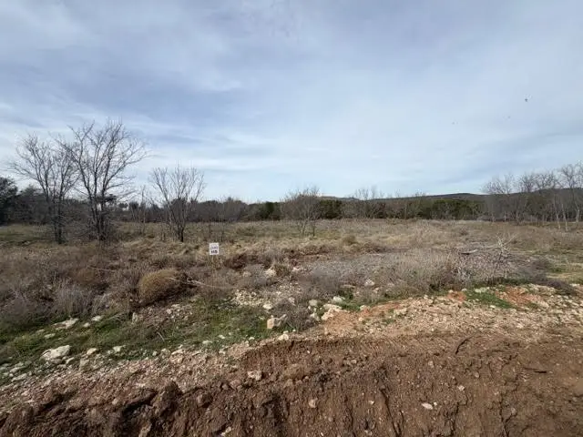 1063 Clearwater Point, Possum Kingdom Lake, TX 76450 - #3