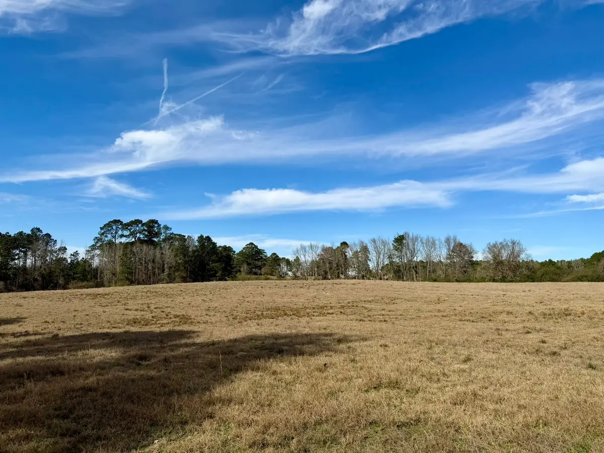 TBD Highway 507, Coushatta, LA 71019 - #1