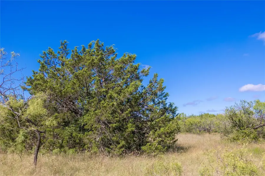 2029 Lot 6a Highway 183, Cisco, TX 76437 - #2