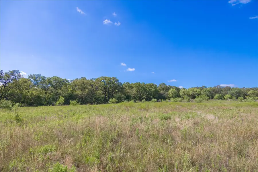 2029 Lot 6a Highway 183, Cisco, TX 76437 - #3