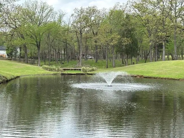 106 Baytree Trail, Mabank, TX 75147 - #1