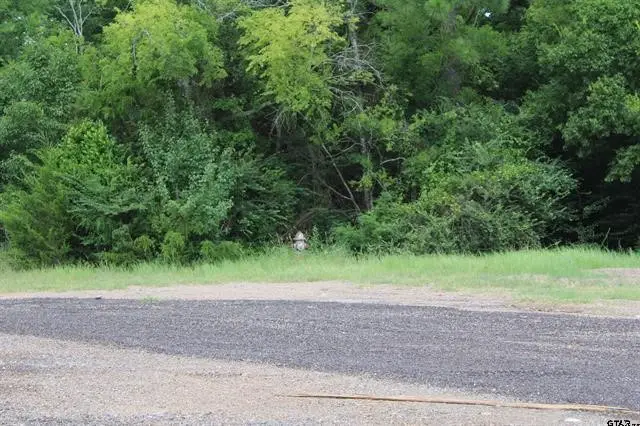 TBD Loop 456 - 14.73 Acres, Jacksonville, TX 75766 - #3