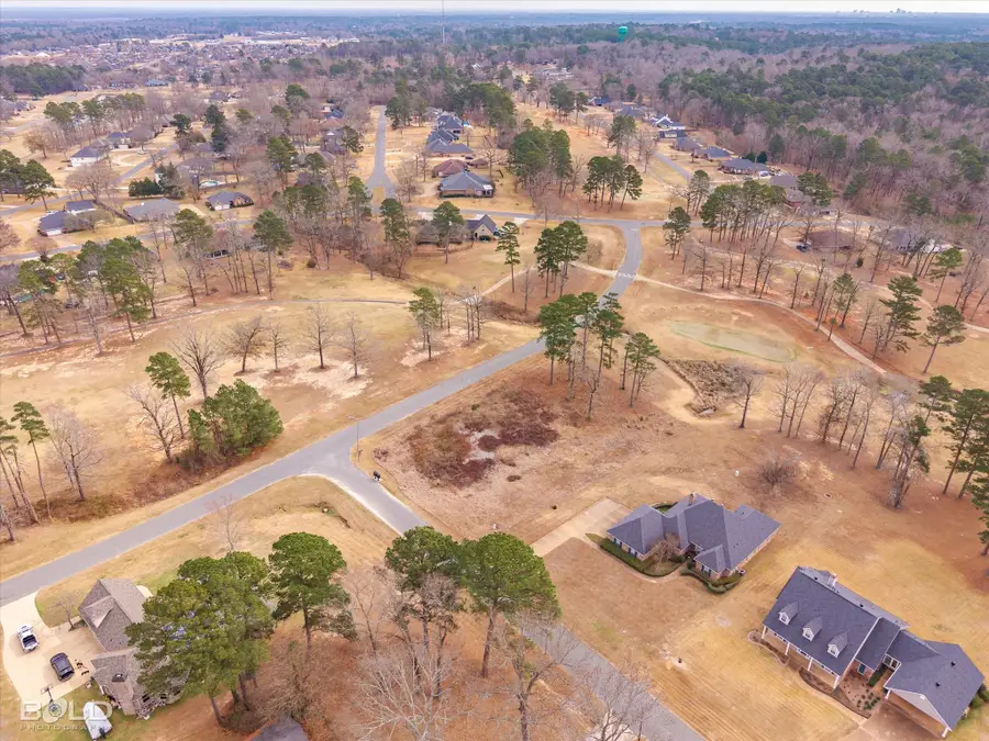 4766 Fairway Hills Avenue, Blanchard, LA 71107 - #2