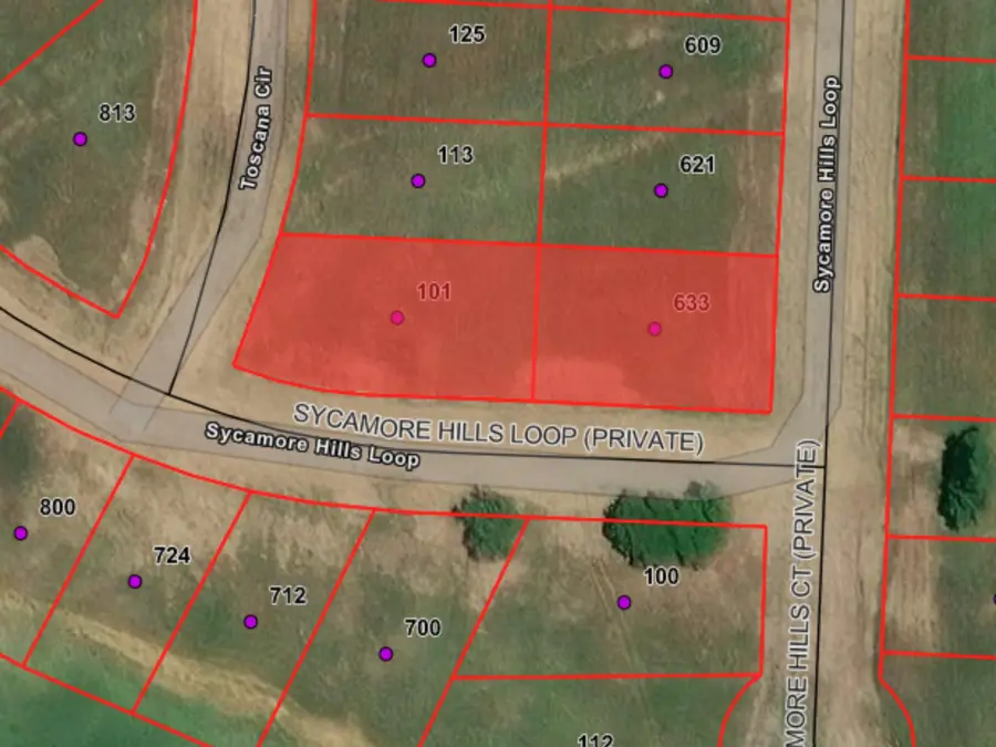 101 Tuscany Hills Lane, Gordonville, TX 76245 - #2