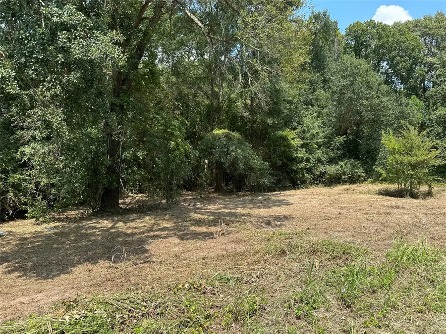 TBD Sandbog, Athens, TX 75751 - #2