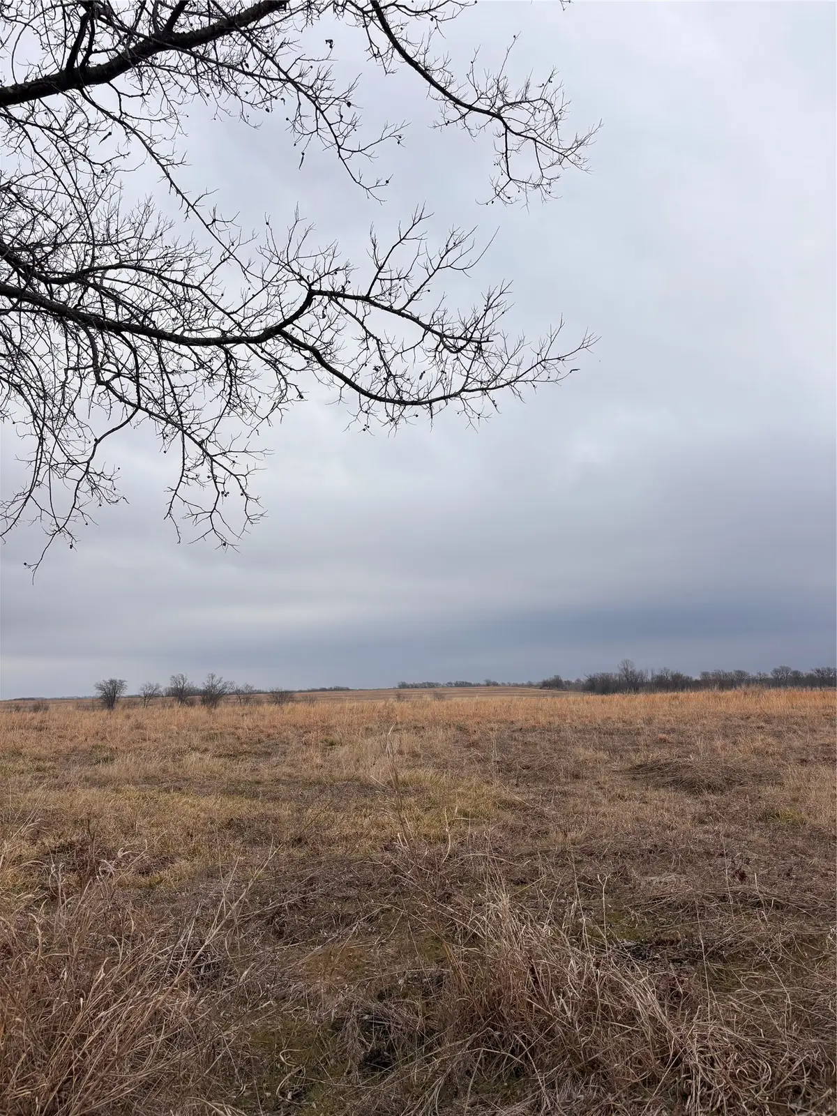 TBD County Road, Pecan Gap, TX 75469 - #1