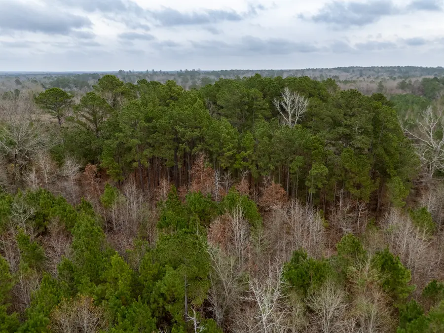 6052 Blocker Road, Marshall, TX 75672 - #3