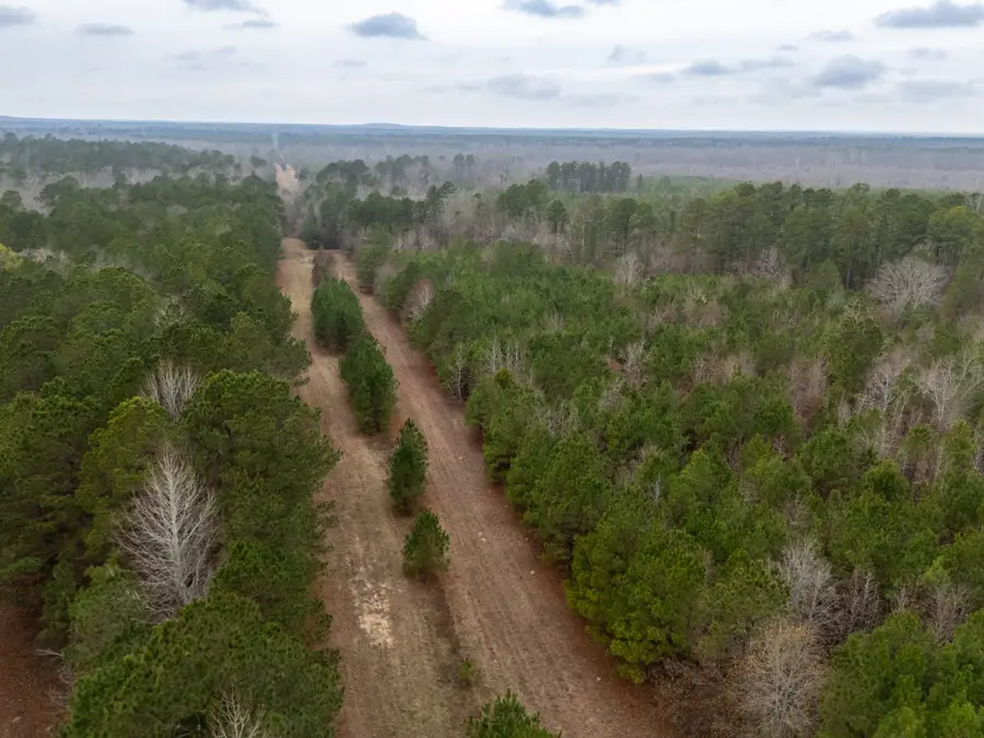 0 Blocker Road, Marshall, TX 75672 - #2