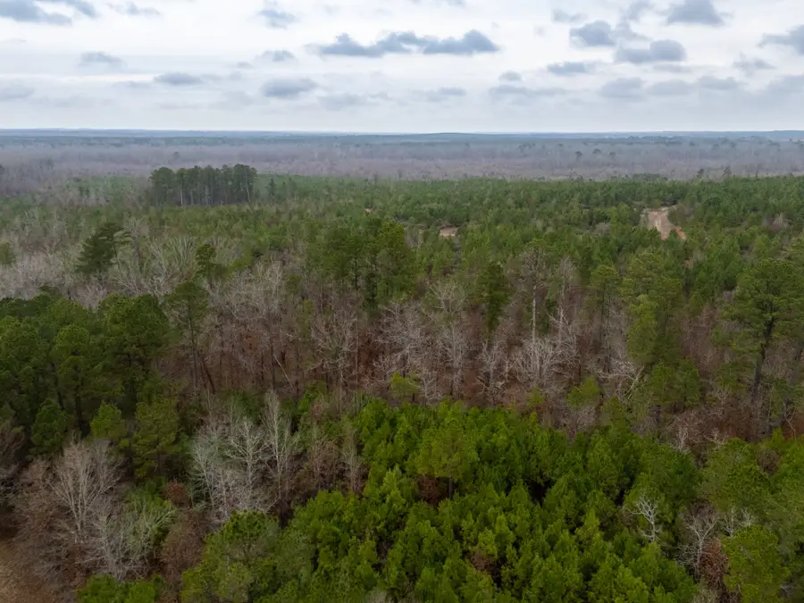 0 Blocker Road, Marshall, TX 75672 - #3