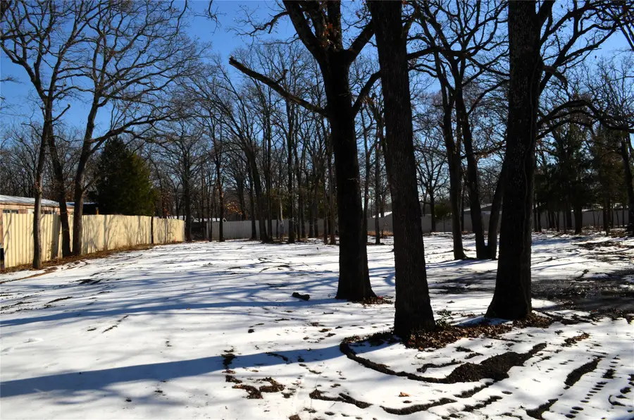 129 Lake Shadows Circle, Gun Barrel City, TX 75156 - #2