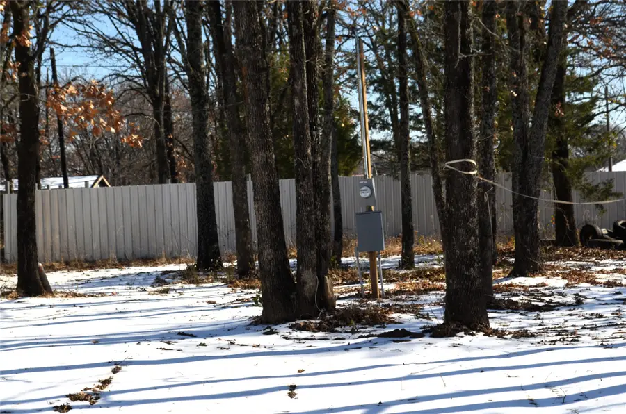 129 Lake Shadows Circle, Gun Barrel City, TX 75156 - #3