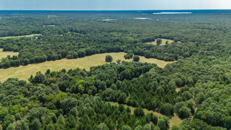 21 Acres Fm 69, Quitman, TX 75783 - #2