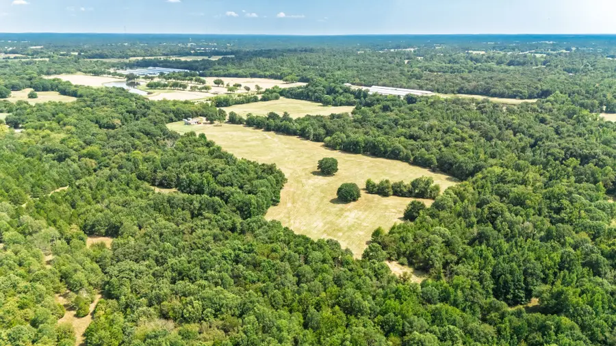 21 Acres Fm 69, Quitman, TX 75783 - #3