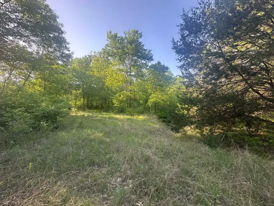 301 W Brand Road, Garland, TX 75040 - Image #2