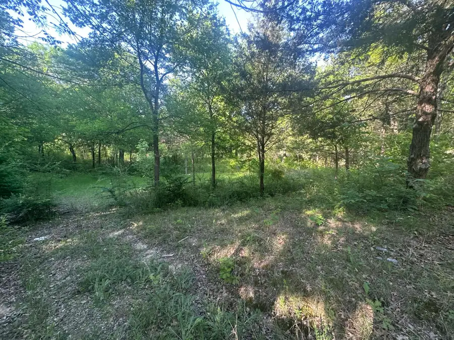 301 W Brand Road, Garland, TX 75040 - Image #3