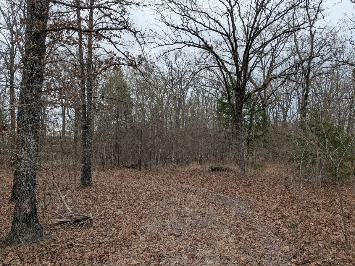 179 Rs County Road 2572, Alba, TX 75410 - Image #1