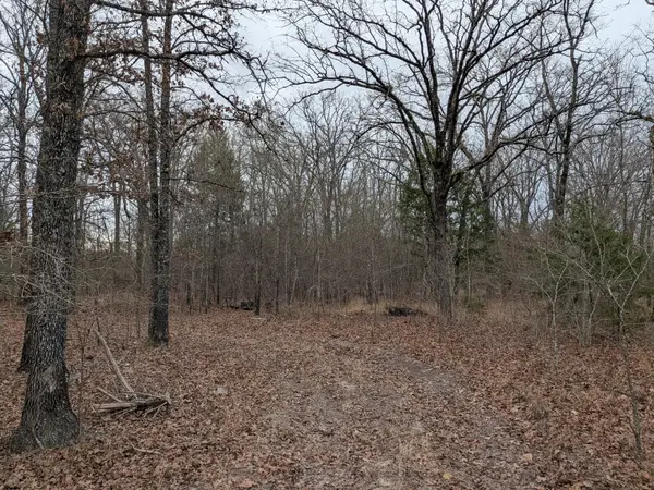 179 Rs County Road 2572, Alba, TX 75410