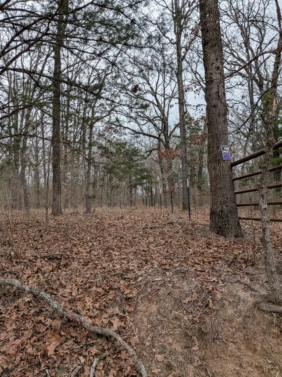 179 Rs County Road 2572, Alba, TX 75410 - Image #2