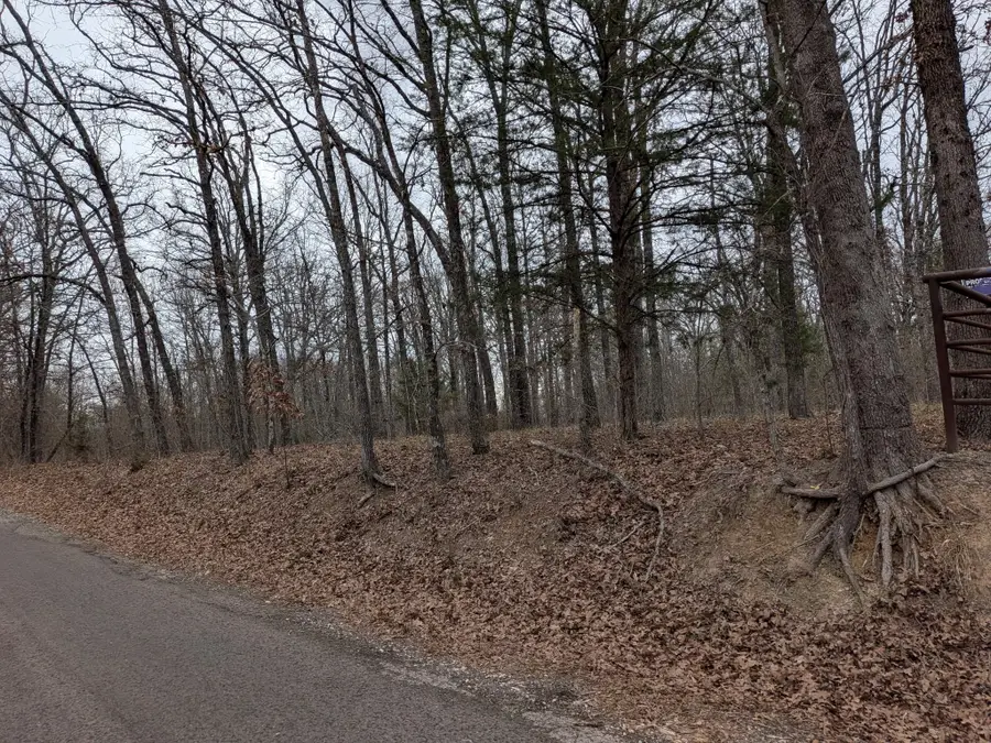 179 Rs County Road 2572, Alba, TX 75410 - Image #3